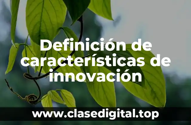 Definición de características de innovación