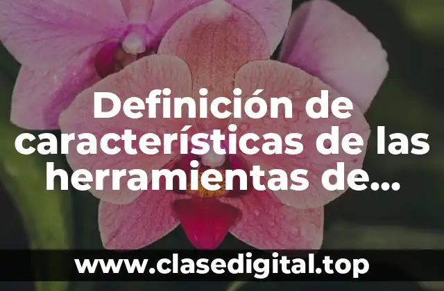 Definición de características de las herramientas de seguridad informática