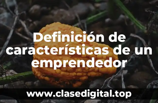 Definición de características de un emprendedor