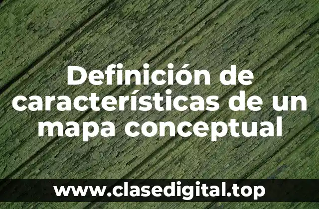 Definición de características de un mapa conceptual