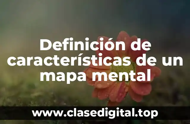 Definición de características de un mapa mental