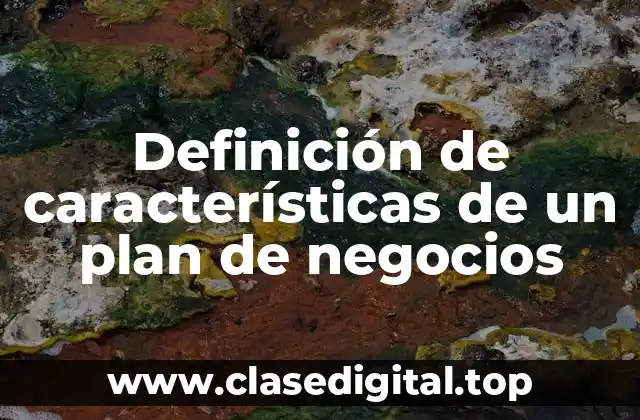 Definición de características de un plan de negocios