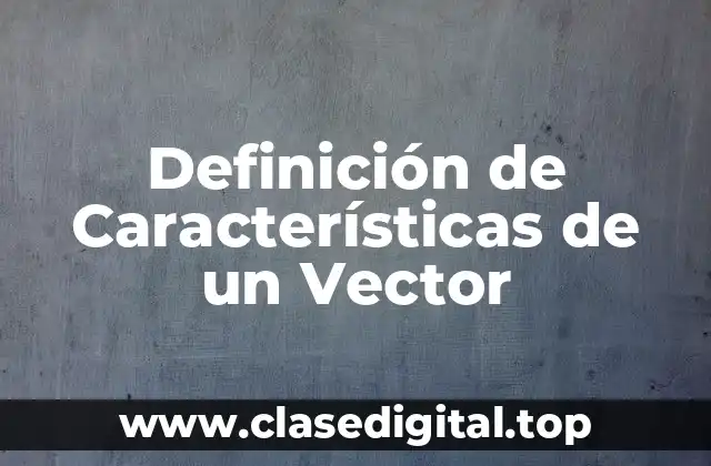 Definición de Características de un Vector