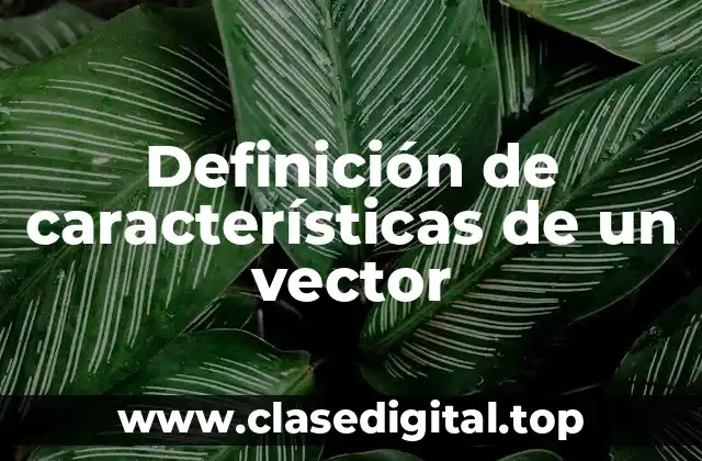 Definición técnica de un vector
