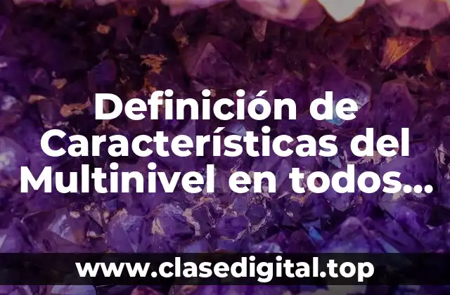 Definición de Características del Multinivel en todos los aspectos