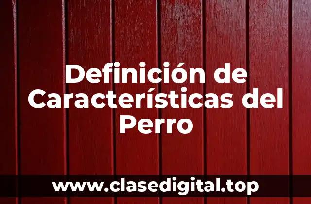 Definición de Características del Perro