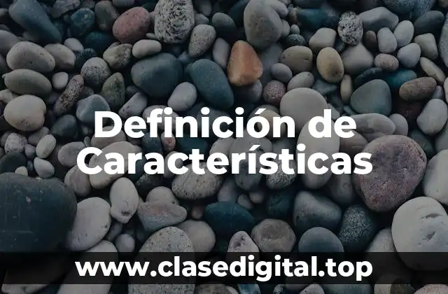 Definición técnica de Característica