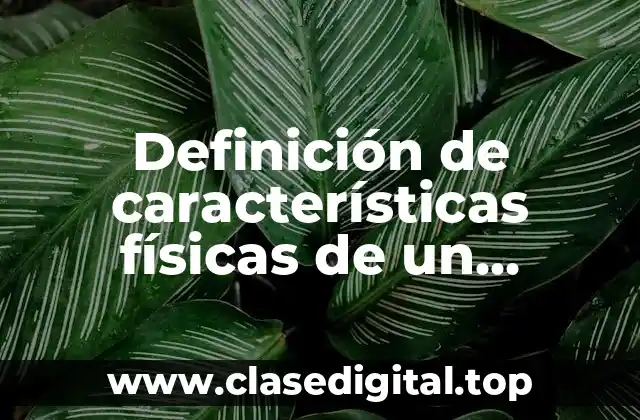 Definición de características físicas de un producto