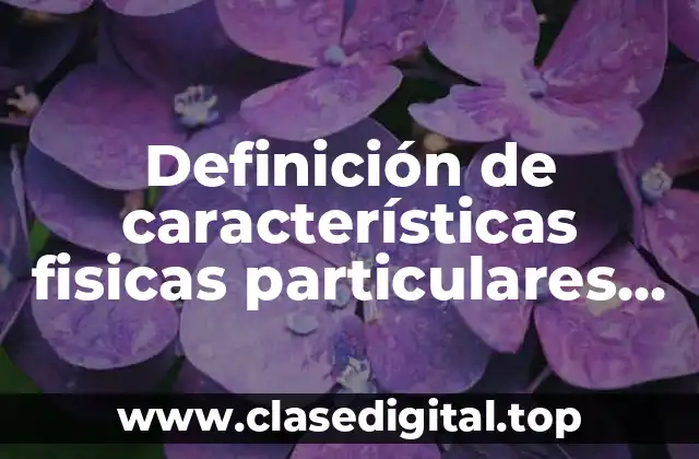Definición de características fisicas particulares de una persona