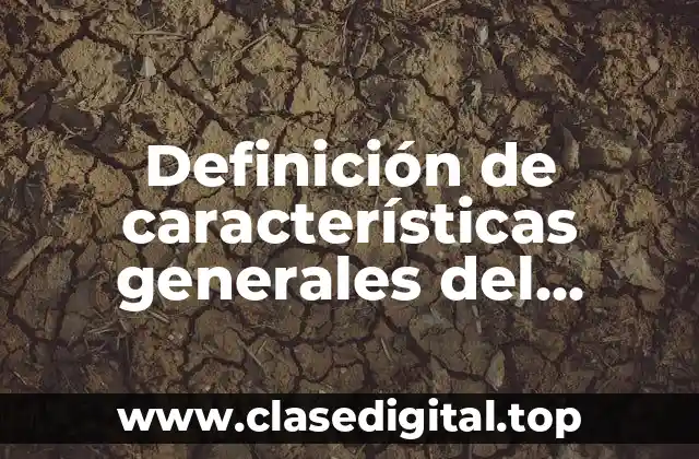 Definición de características generales del sistema operativo Mac OS