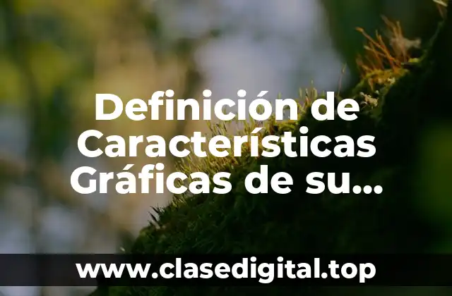 Definición de Características Gráficas de su Nombre