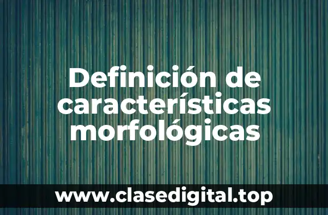 Definición técnica de características morfológicas