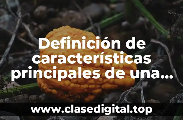 Definición de características principales de una base de datos