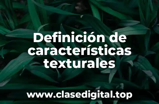 Definición de características texturales