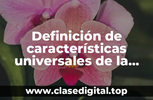 Definición de características universales de la cultura