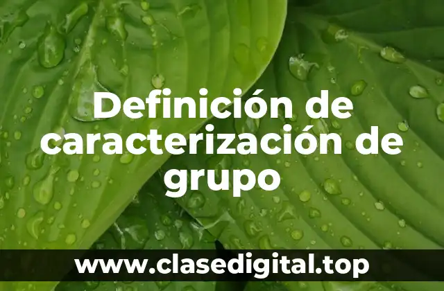 Definición de caracterización de grupo