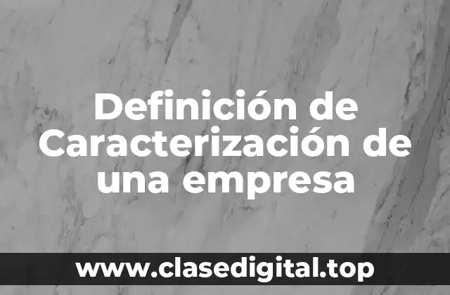Definición técnica de Caracterización de una empresa