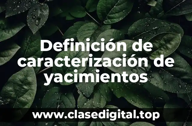 Definición de caracterización de yacimientos