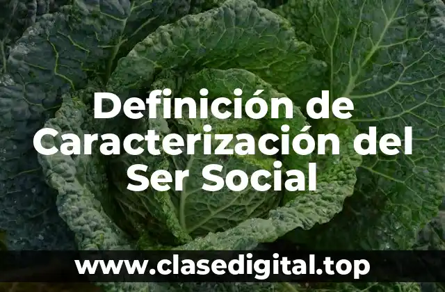 Definición de Caracterización del Ser Social