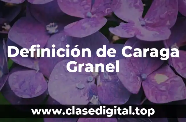 Definición de Caraga Granel