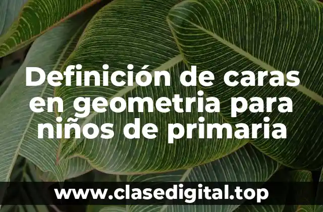 Definición de caras en geometria para niños de primaria