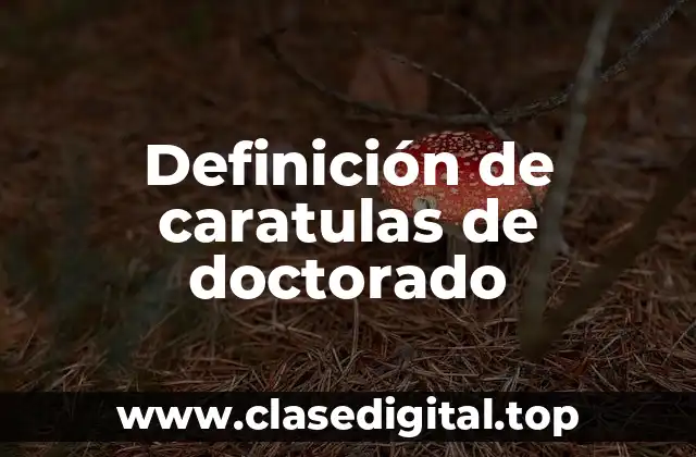 Definición de caratulas de doctorado
