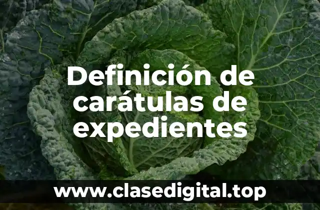 Definición de carátulas de expedientes