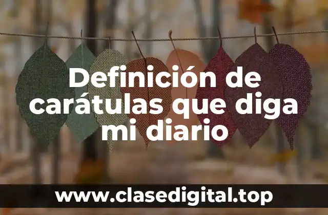 Definición de carátulas que diga mi diario