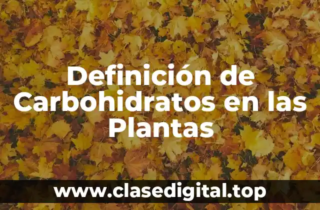 Definición de Carbohidratos en las Plantas