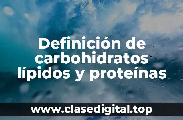 Definición de carbohidratos lípidos y proteínas