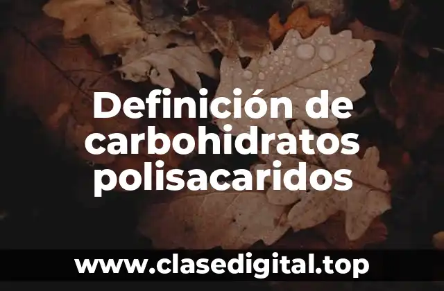 Definición de carbohidratos polisacaridos