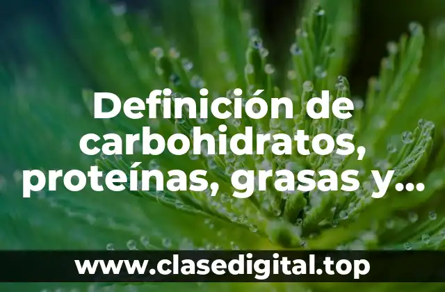Definición de carbohidratos, proteínas, grasas y carbohidratos