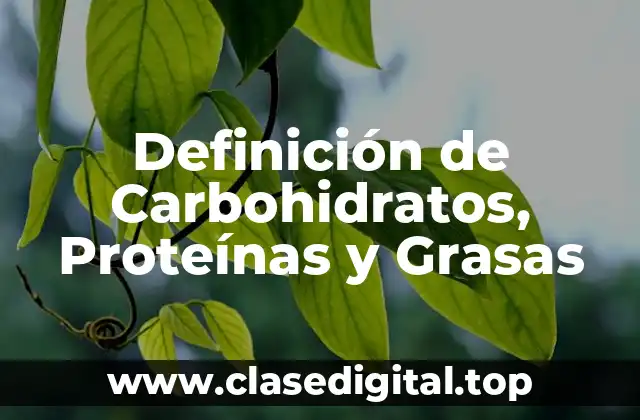 Definición de Carbohidratos, Proteínas y Grasas
