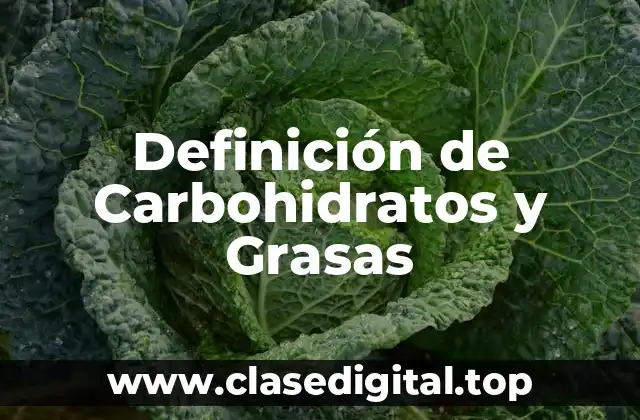 Definición de Carbohidratos y Grasas
