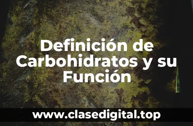 Definición de Carbohidratos y su Función