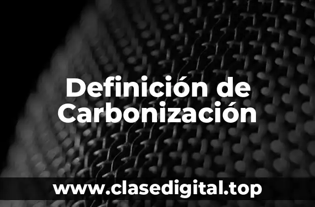 Definición de Carbonización