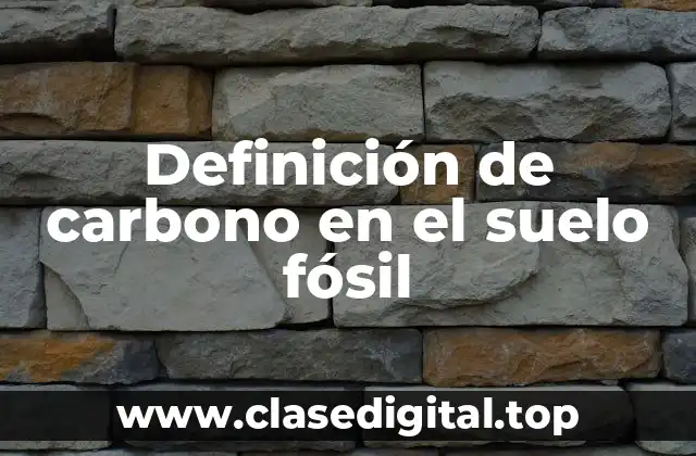 Definición de carbono en el suelo fósil
