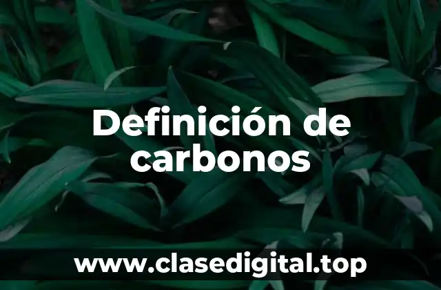 Ejemplos de carbonos