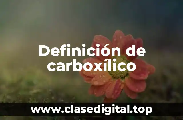 Definición de carboxílico