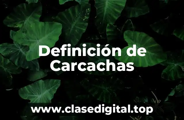Definición de Carcachas