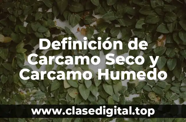 Definición de Carcamo Seco y Carcamo Humedo