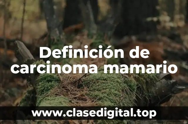 Definición de carcinoma mamario