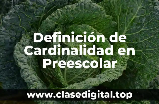 Definición de Cardinalidad en Preescolar