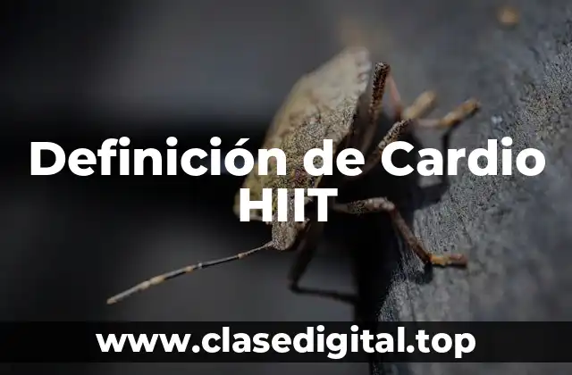 Ejemplos de Cardio HIIT