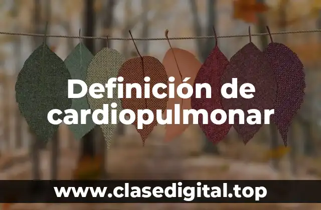 Definición de cardiopulmonar