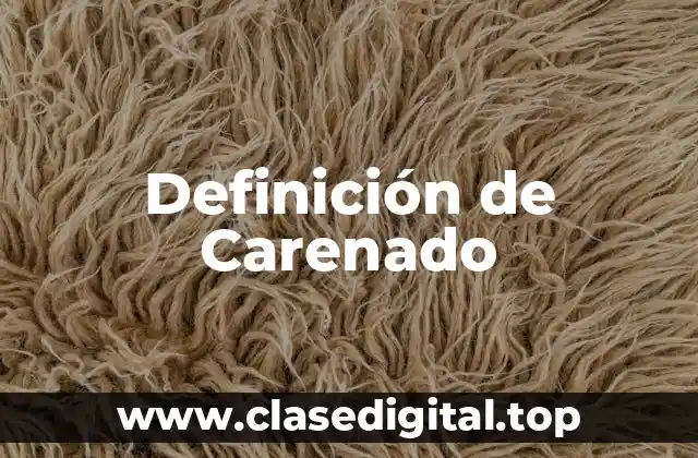 Definición de Carenado