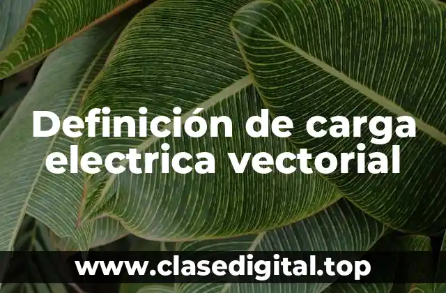 Definición de carga electrica vectorial
