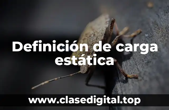 Definición de carga estática
