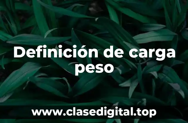 Definición de carga peso