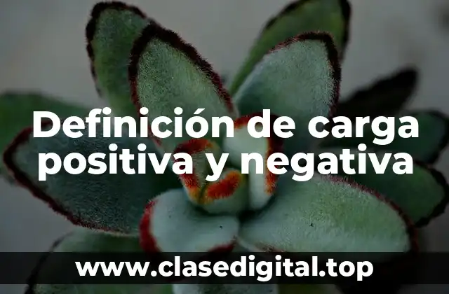 Definición de carga positiva y negativa